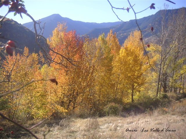 Foto de Aurós (Lleida), España