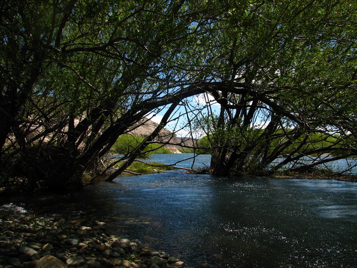 Foto de Collon Cura, Argentina