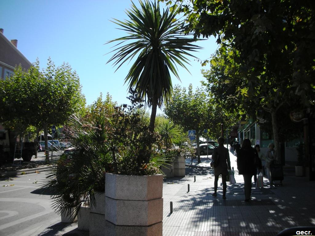 Foto de Majadahonda (Madrid), España