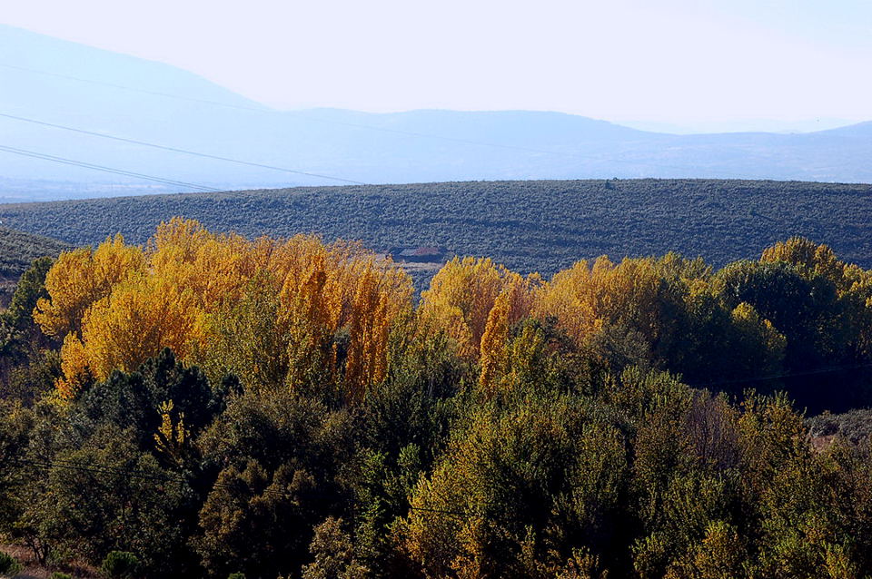 Foto de Robledillo de la Jara (Madrid), España