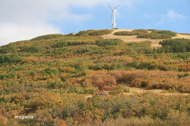 Foto de Ólvega (Soria), España