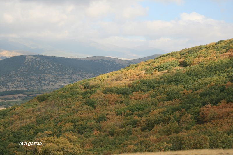 Foto de Ólvega (Soria), España