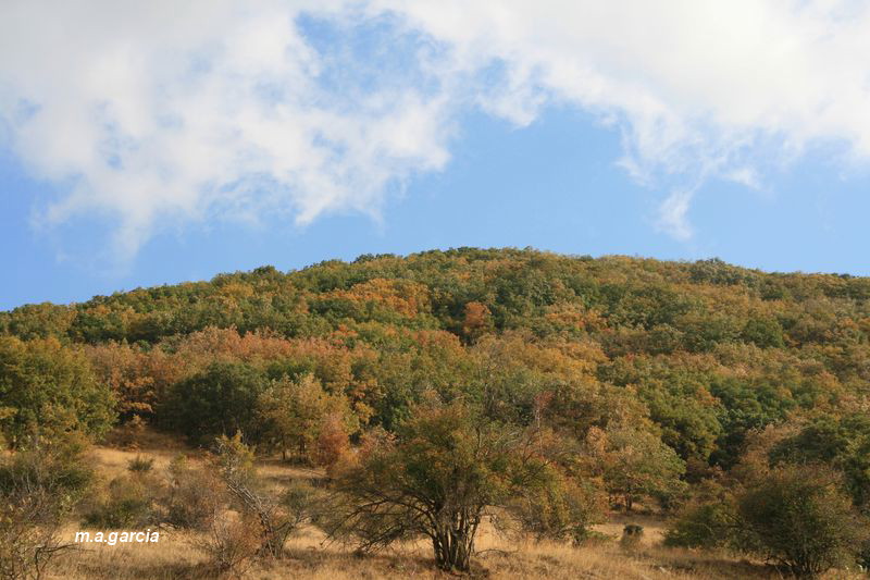 Foto de Ólvega (Soria), España