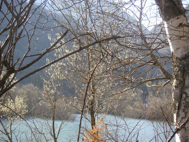 Foto de Borén (Lleida), España