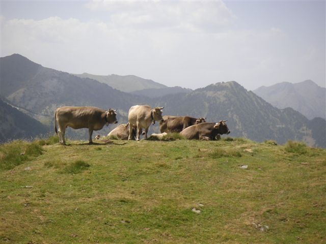 Foto de Alós de Isil (Lleida), España