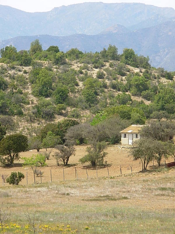 Foto de Colliguay, Chile