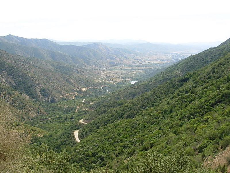 Foto de Colliguay, Chile