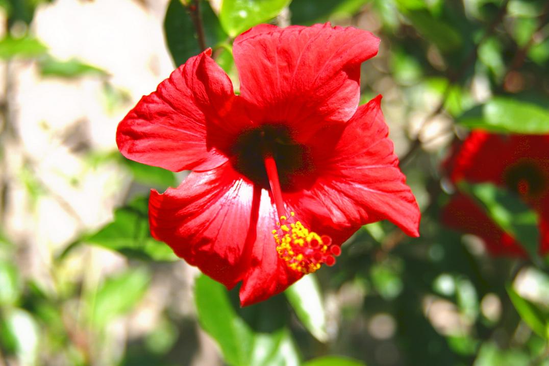 Foto de Sintra, Portugal