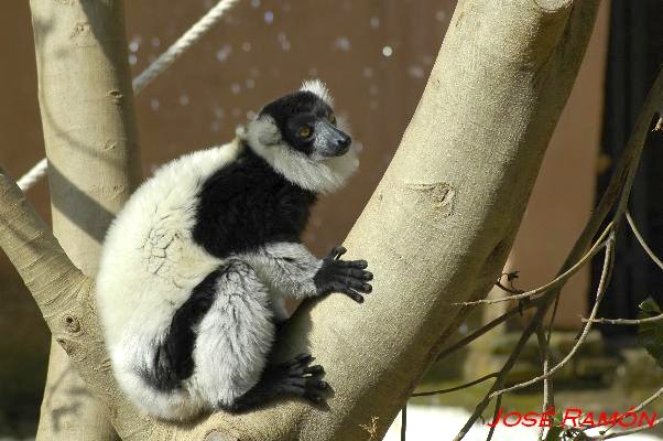 Foto de Jerez de la Frontera (Cádiz), España