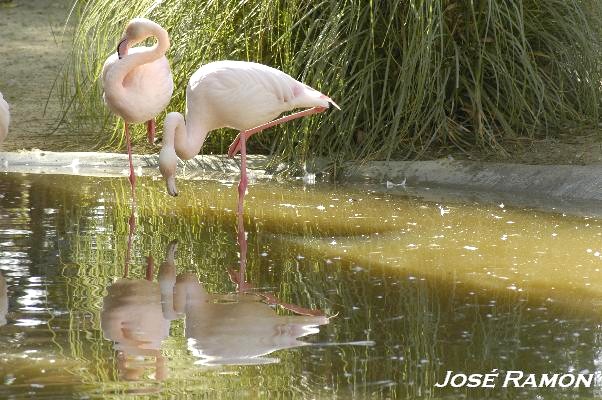 Foto de Jerez de la Frontera (Cádiz), España