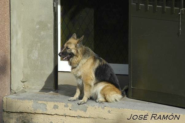 Foto de Jerez de la Frontera (Cádiz), España