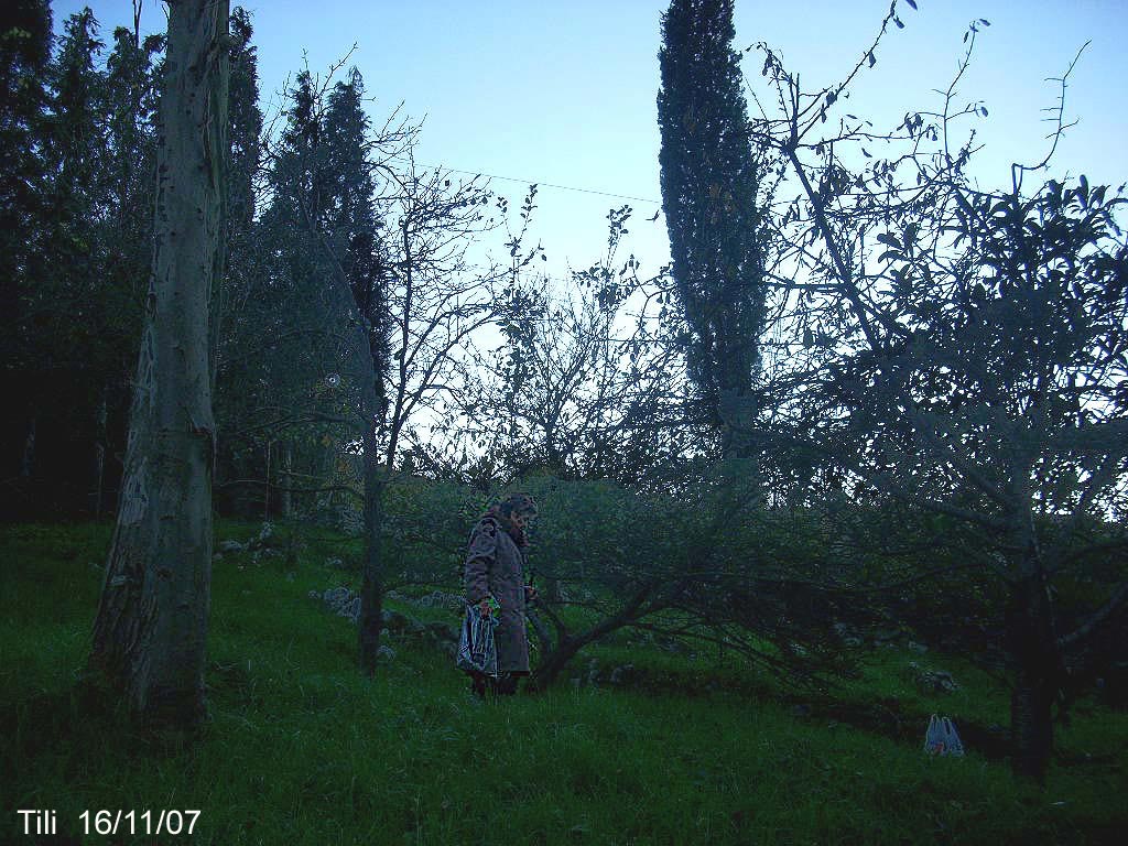 Foto de Figarines - Caces (Asturias), España