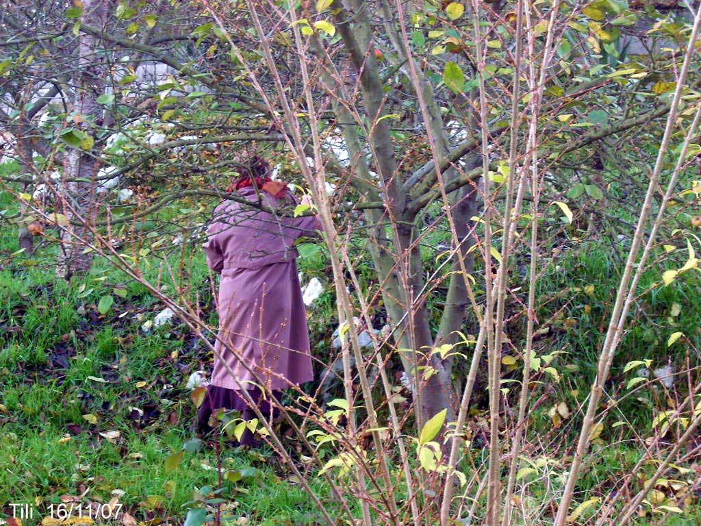 Foto de Figarines - Caces (Asturias), España