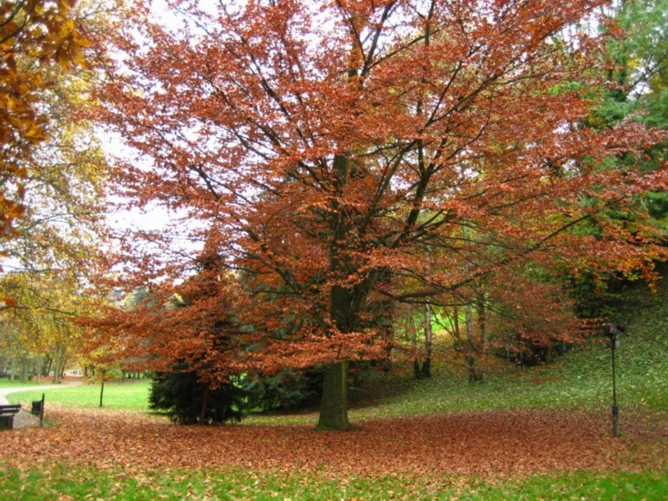 Foto de Luxemburgo, Luxemburgo