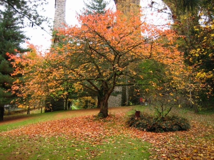 Foto de Luxemburgo, Luxemburgo