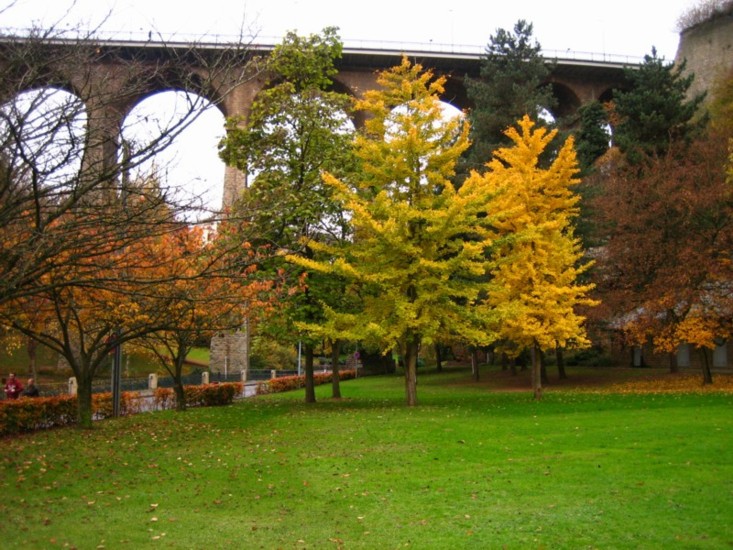 Foto de Luxemburgo, Luxemburgo
