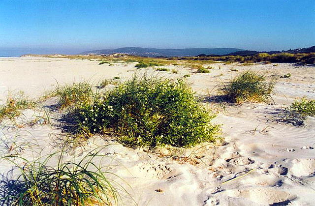 Foto de Carballo (A Coruña), España
