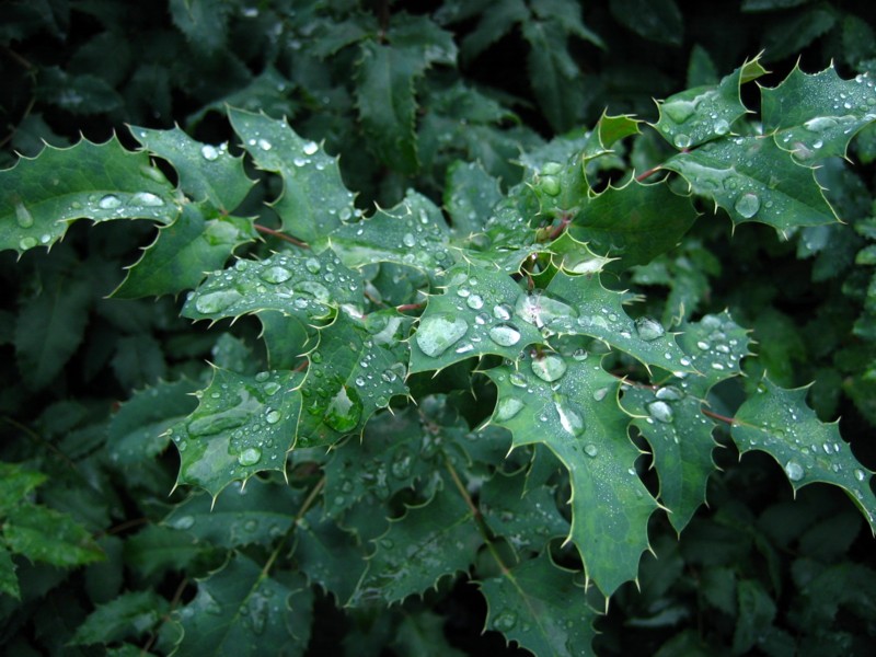 Foto de Luxemburgo, Luxemburgo