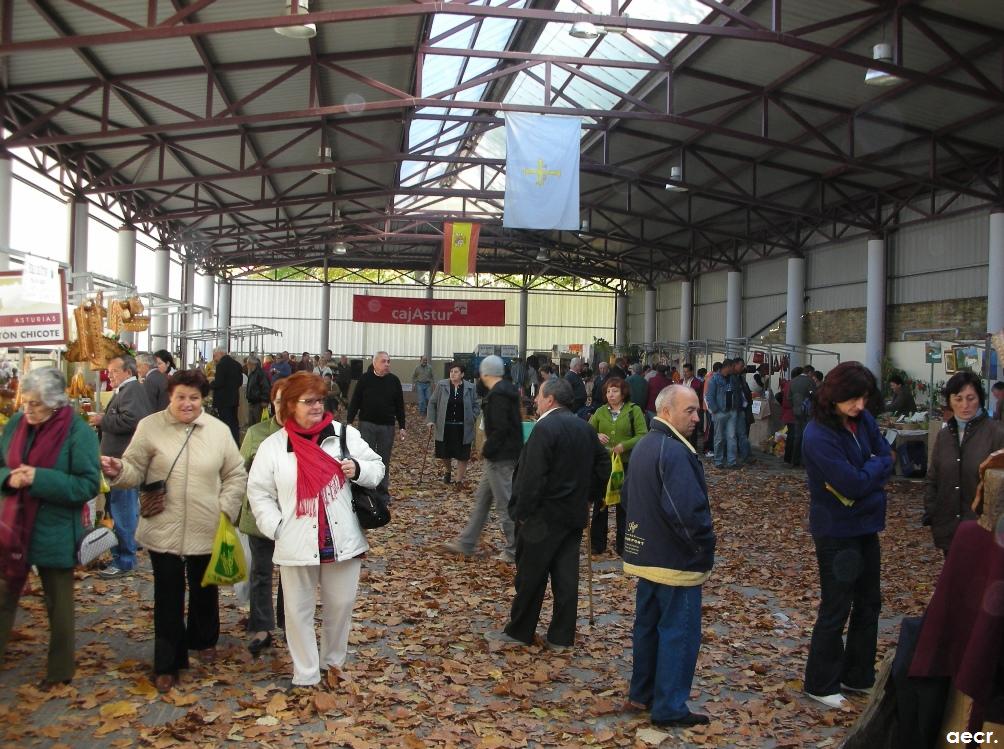 Foto de Pola de Allande (Asturias), España