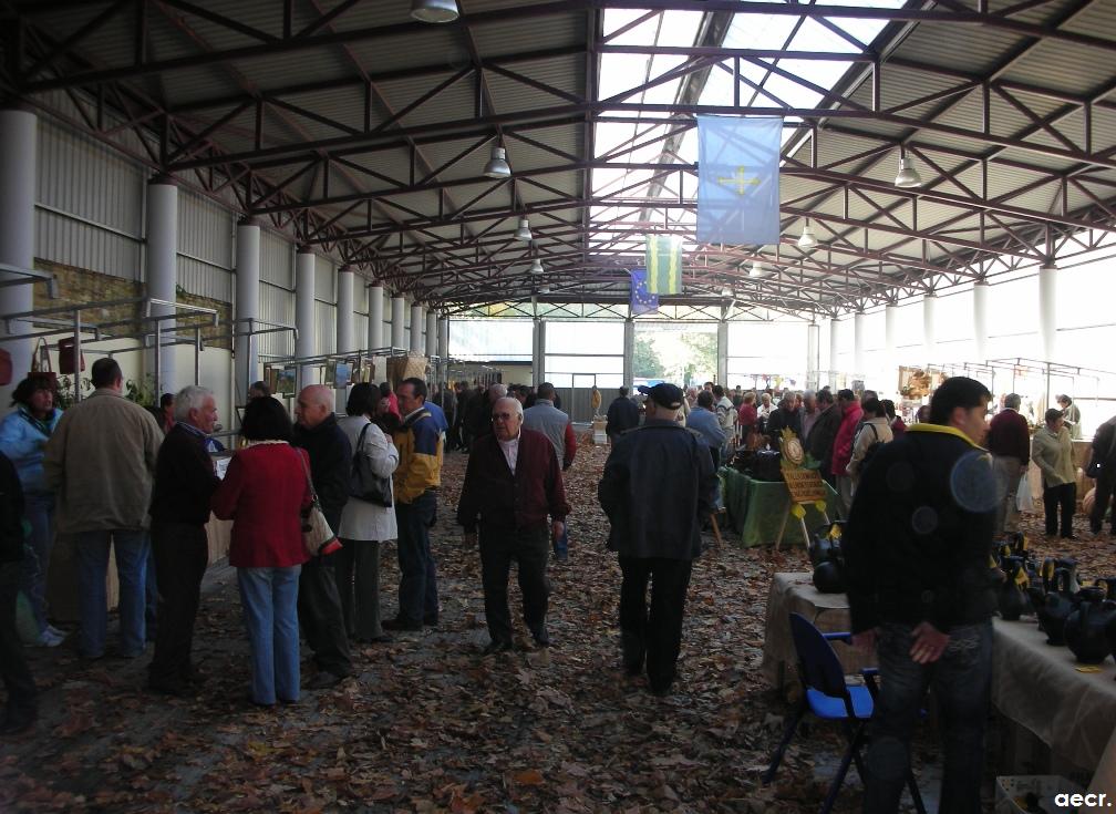 Foto de Pola de Allande (Asturias), España