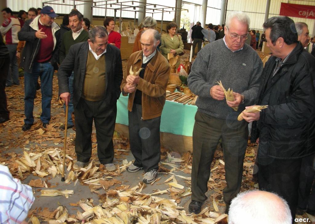 Foto de Pola de Allande (Asturias), España