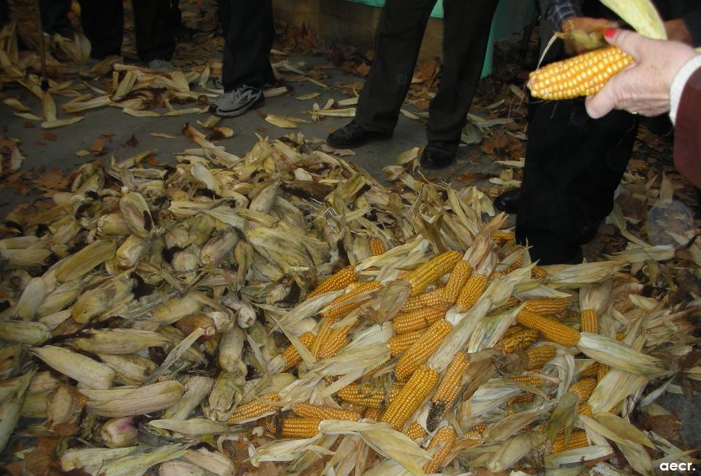 Foto de Pola de Allande (Asturias), España