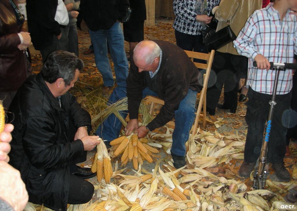 Foto de Pola de Allande (Asturias), España