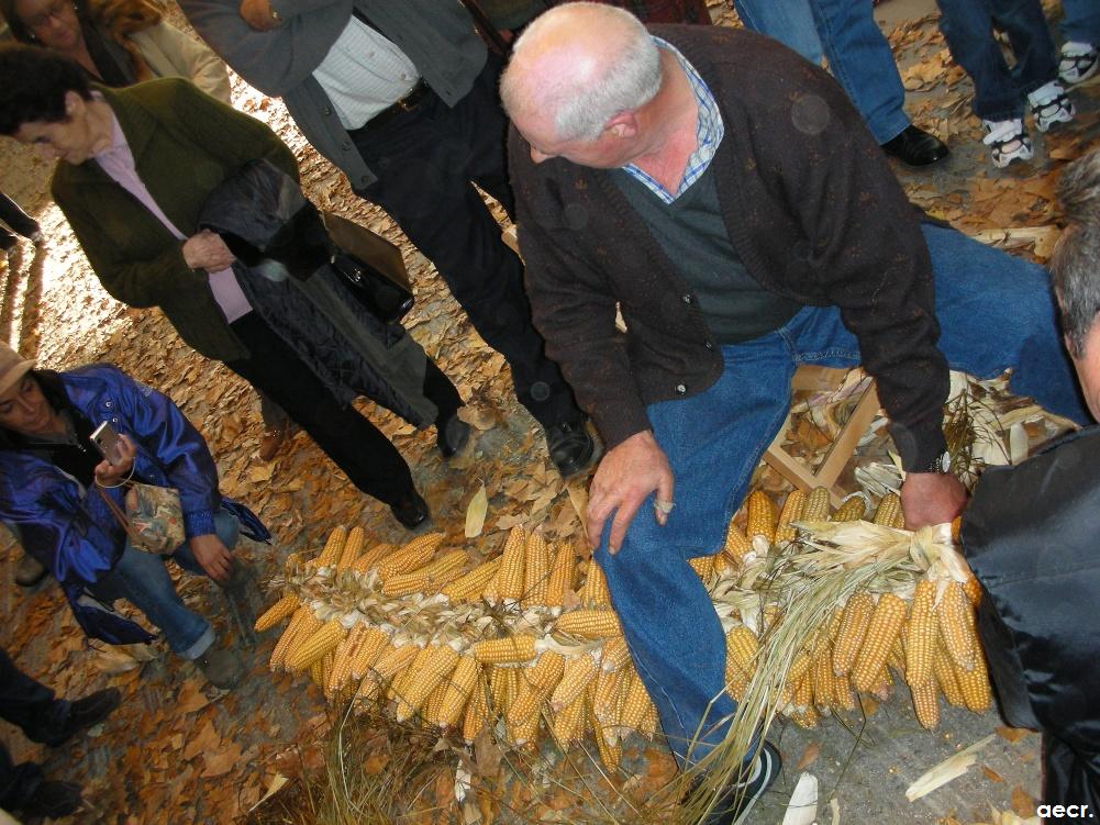 Foto de Pola de Allande (Asturias), España