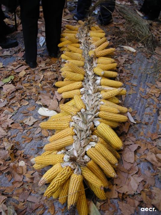 Foto de Pola de Allande (Asturias), España