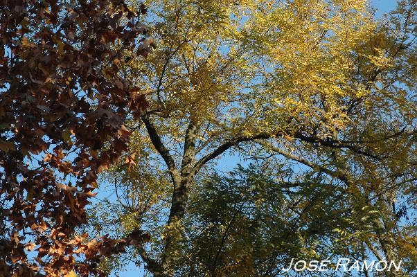 Foto de Jerez de la Frontera (Cádiz), España