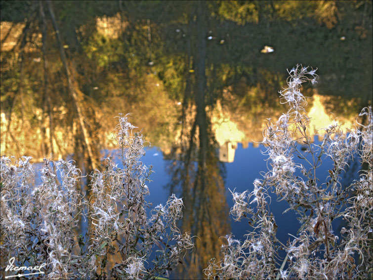 Foto de Almazán (Soria), España
