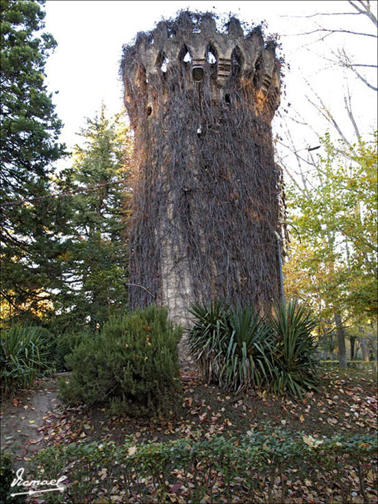 Foto de Almazán (Soria), España