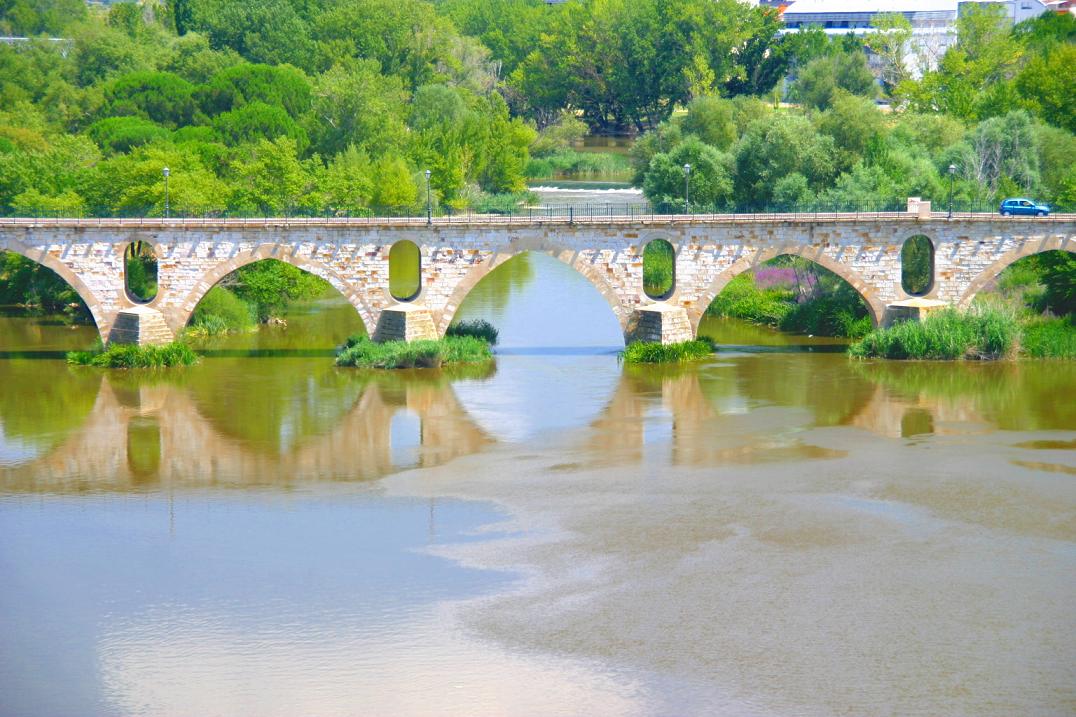 Foto de Zamora (Castilla y León), España