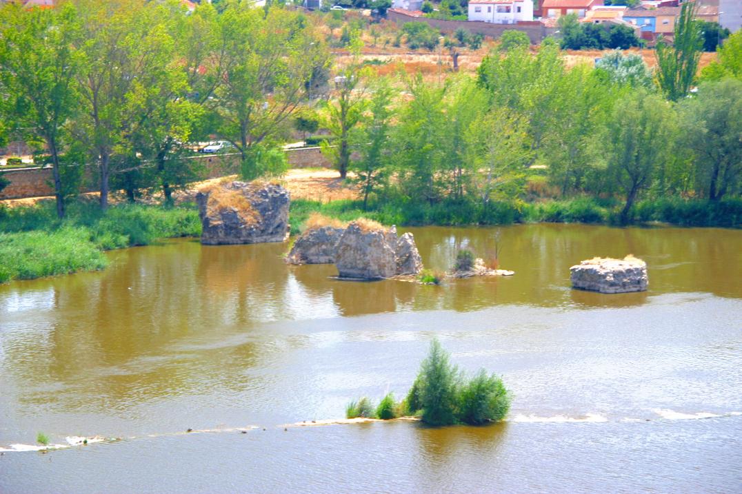 Foto de Zamora (Castilla y León), España