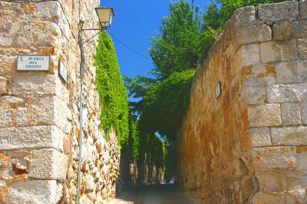 Foto de Zamora (Castilla y León), España