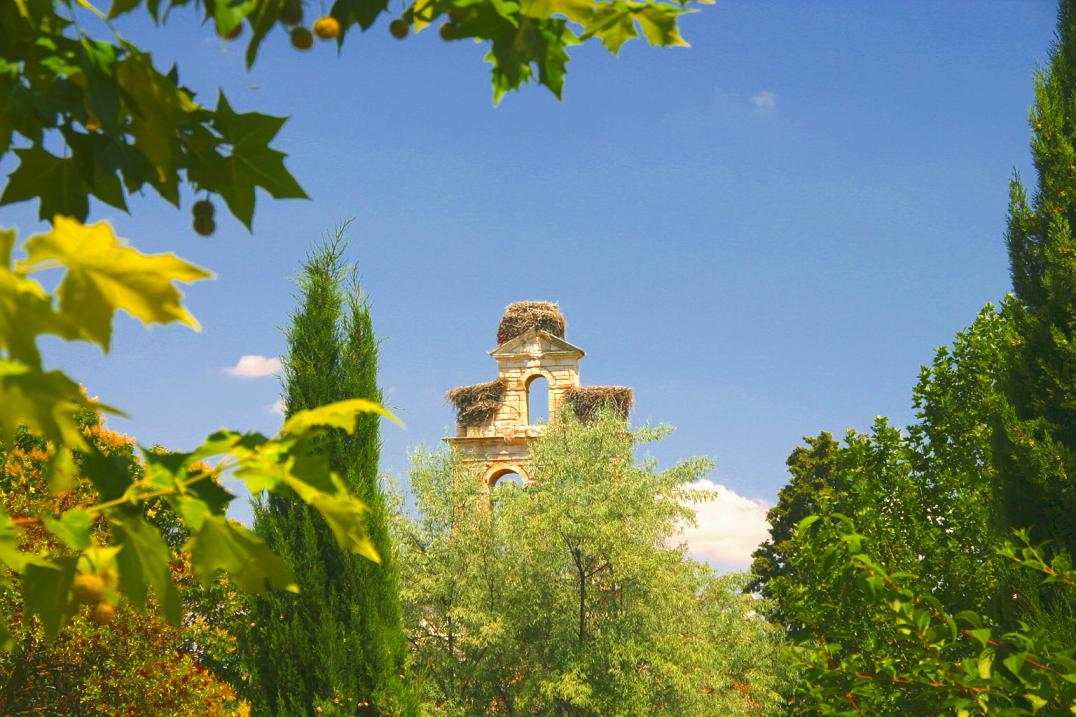 Foto de Zamora (Castilla y León), España