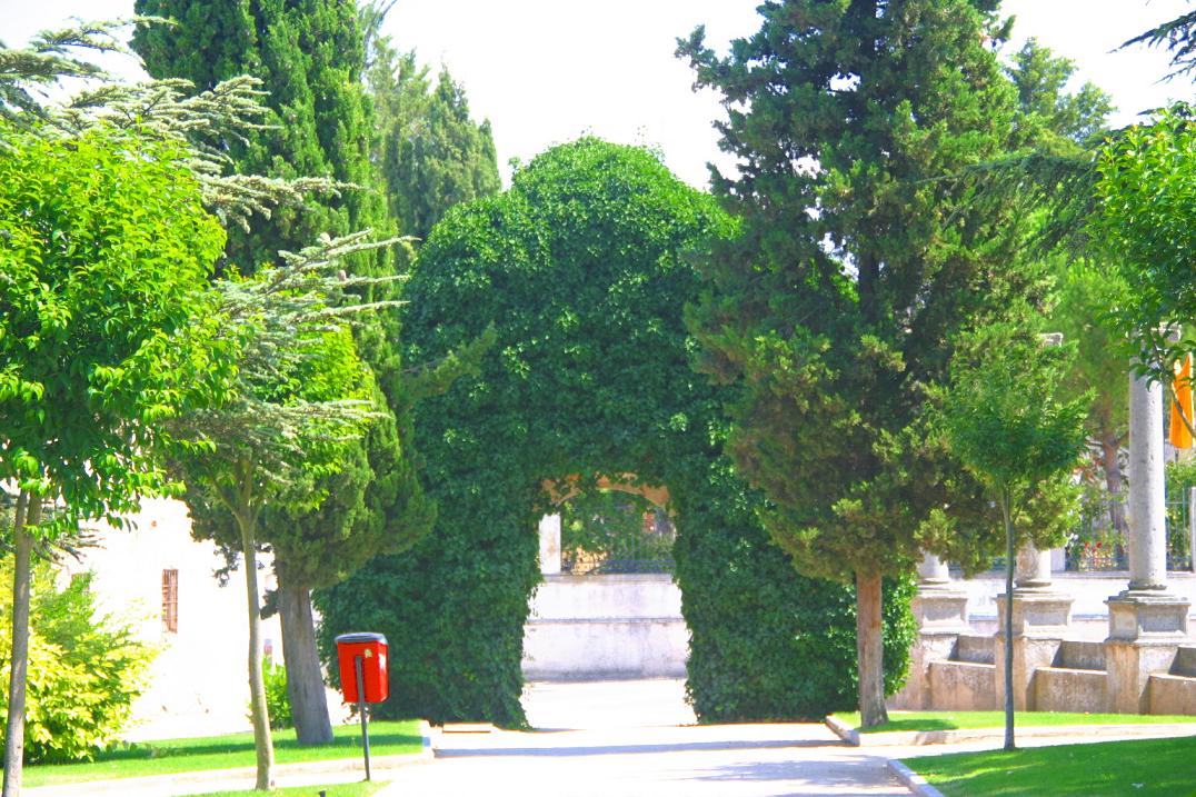 Foto de Zamora (Castilla y León), España