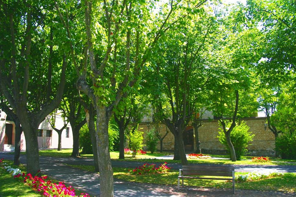 Foto de Zamora (Castilla y León), España