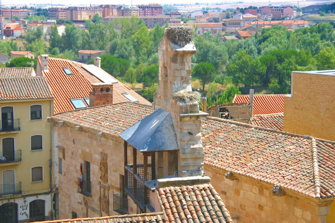Foto de Zamora (Castilla y León), España