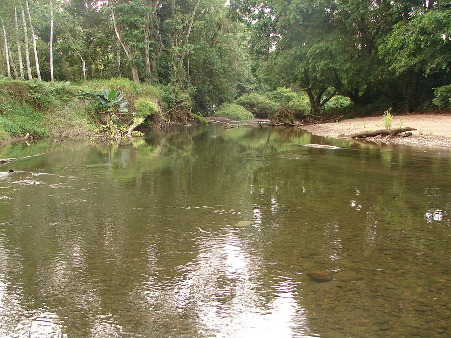 Foto de Guapiles, Costa Rica