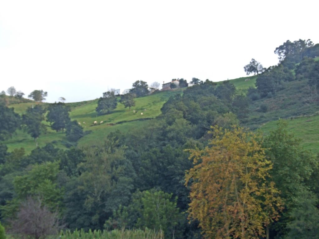 Foto de Anaz (Cantabria), España