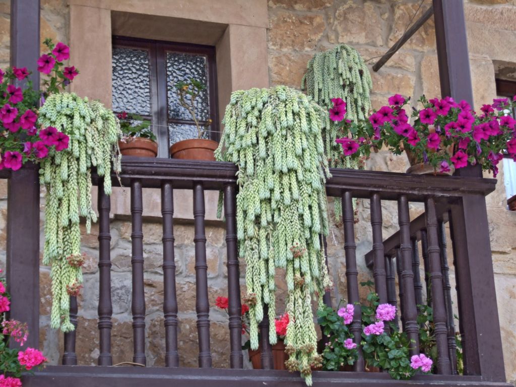 Foto de Liérganes (Cantabria), España