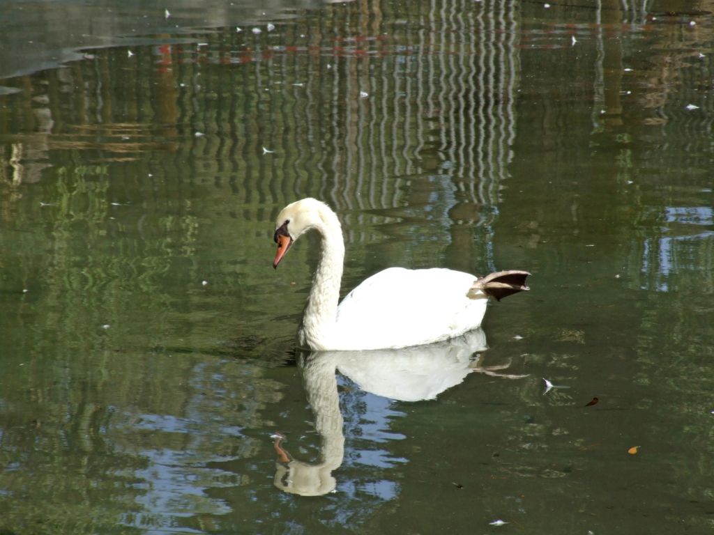 Foto de Guardamar del Segura (Alicante), España