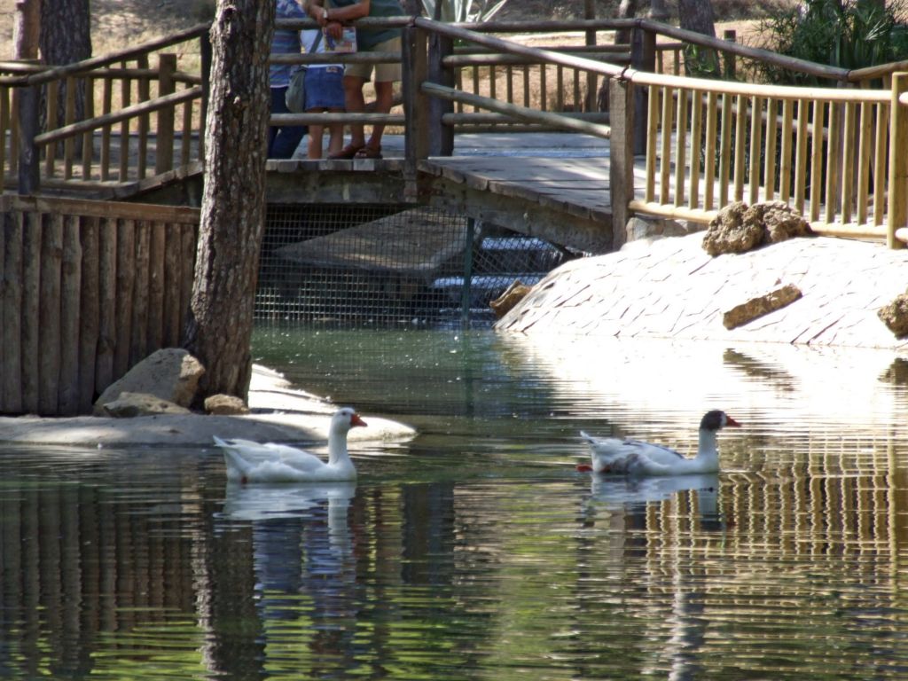 Foto de Guardamar del Segura (Alicante), España