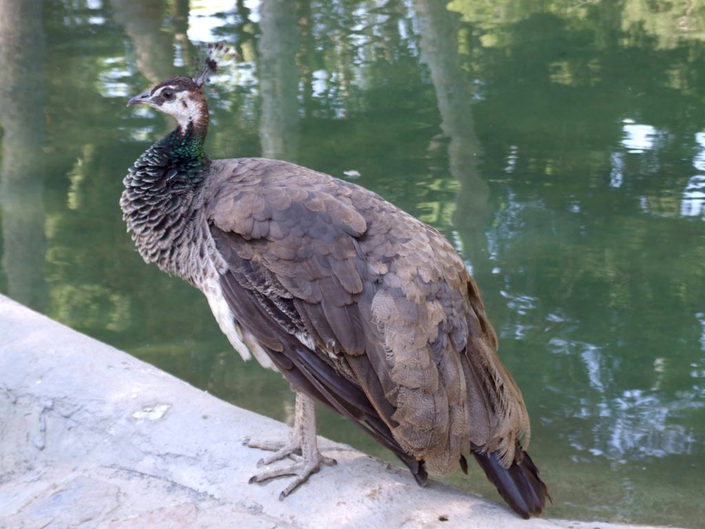 Foto de Guardamar del Segura (Alicante), España