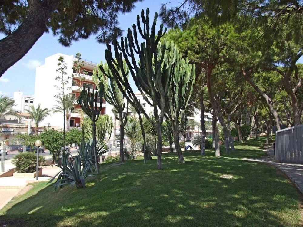 Foto de Guardamar del Segura (Alicante), España