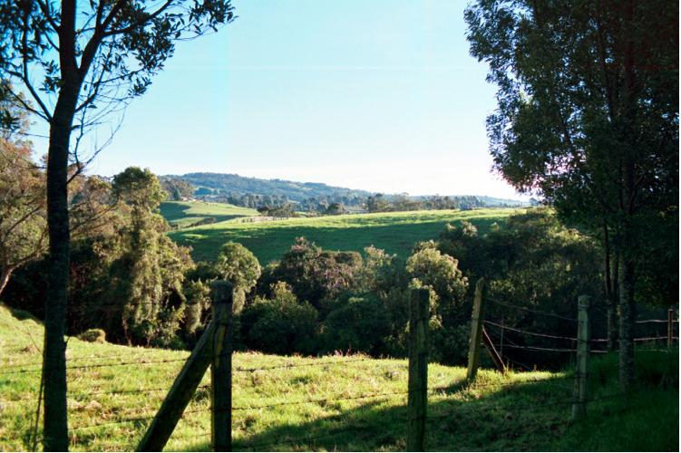 Foto de Vereda La Acuarela - Antioquía, Colombia