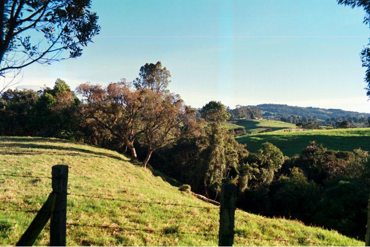 Foto de Vereda La Acuarela - Antioquía, Colombia