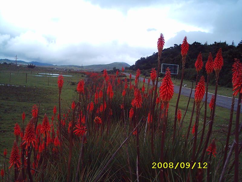 Foto de Cuchumatanes - Huehuetenango, Guatemala