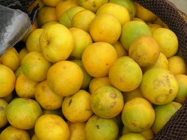 Foto de Cutervo, Perú